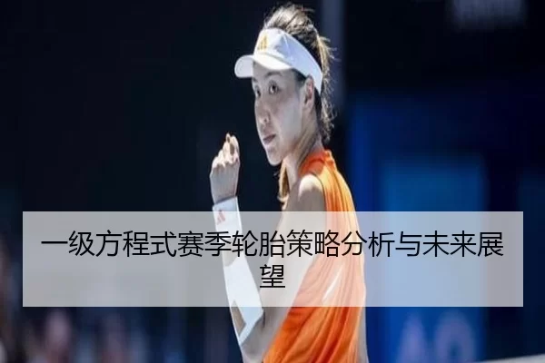 一级方程式赛季轮胎策略分析与未来展望